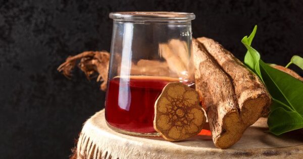 Buy Ayahuasca Tea Online