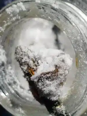 Buy CBD Isolate Powder Online